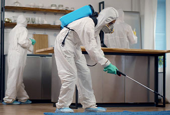 Pest Control